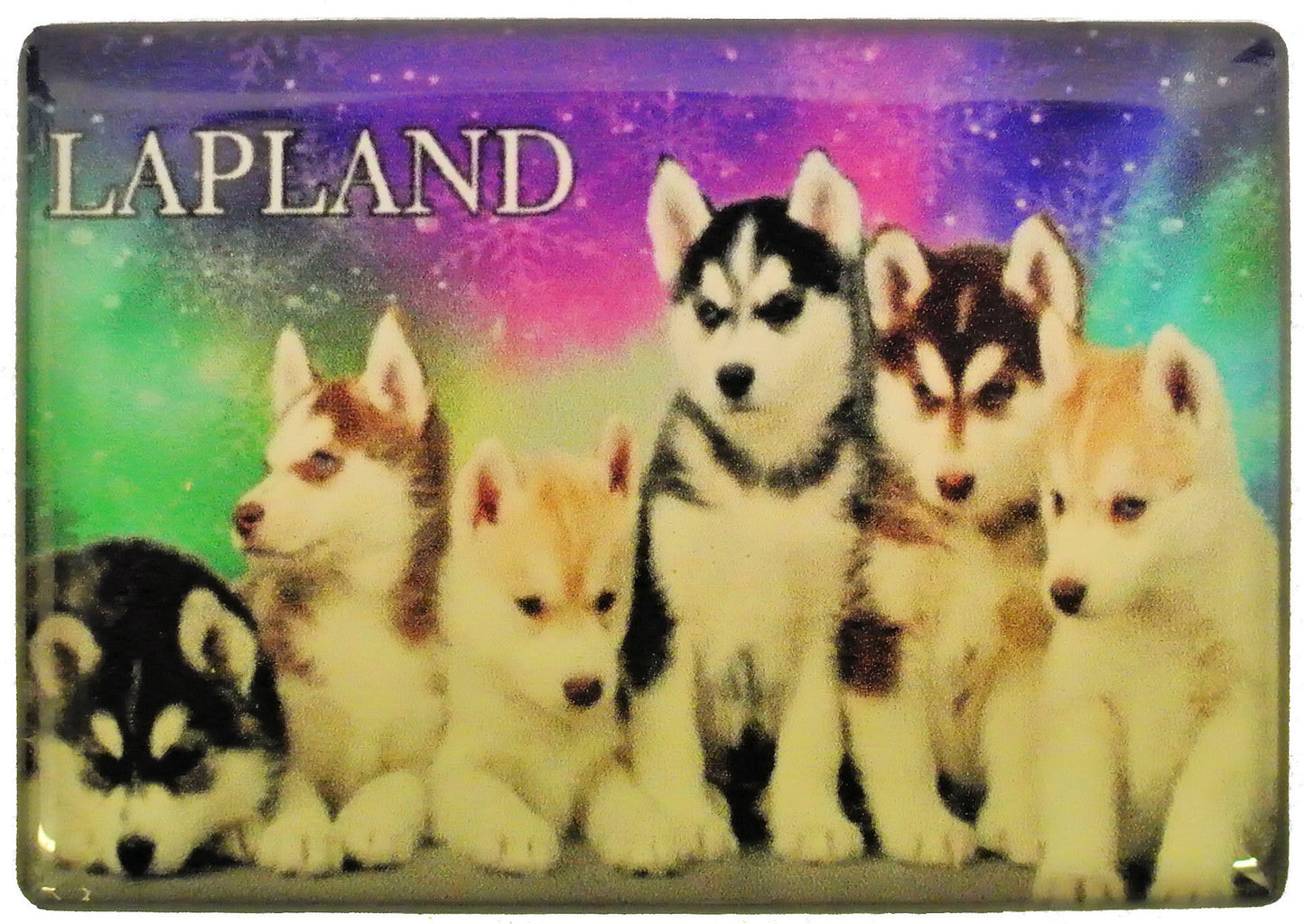 Muovimagneetti Husky babies HMM1