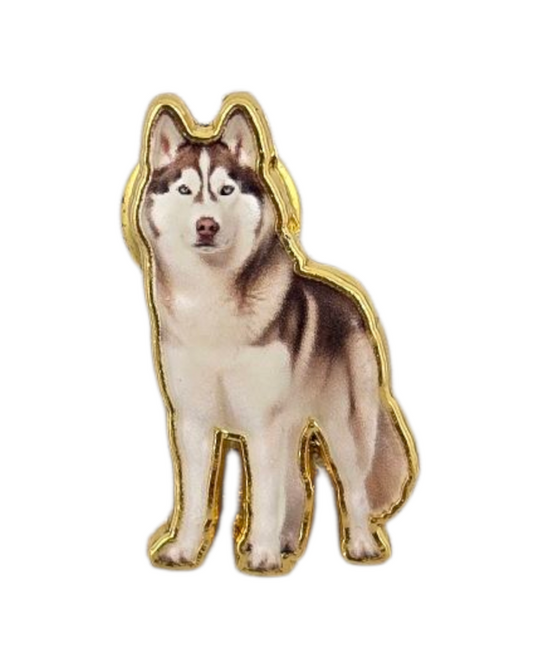 Pinssi husky P21
